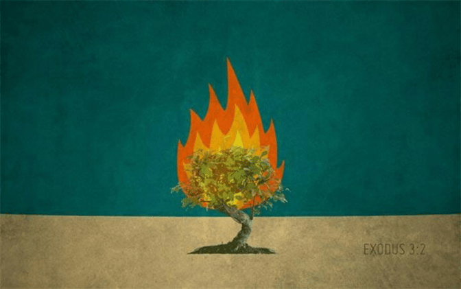 📖 the image of God and human dignity 