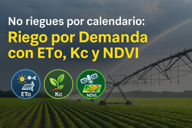 🌡️ No riegues por calendario