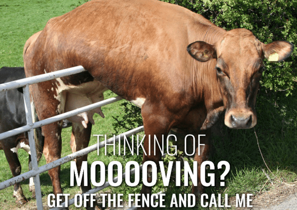 Michigan Housing Market Update