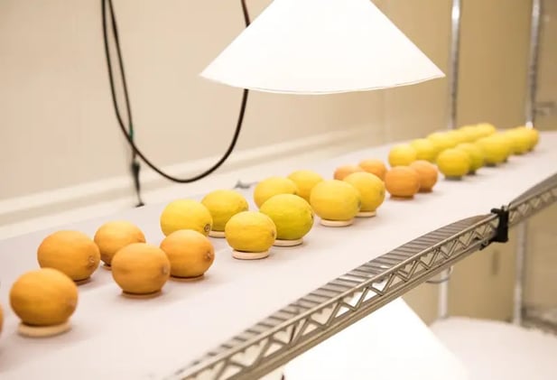 Una “segunda piel” para frutas y verduras podría hacer que duren el doble