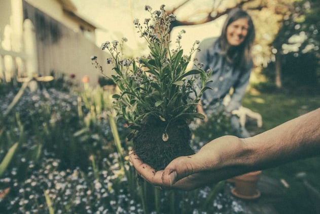 Successful Corporate Social Responsibility