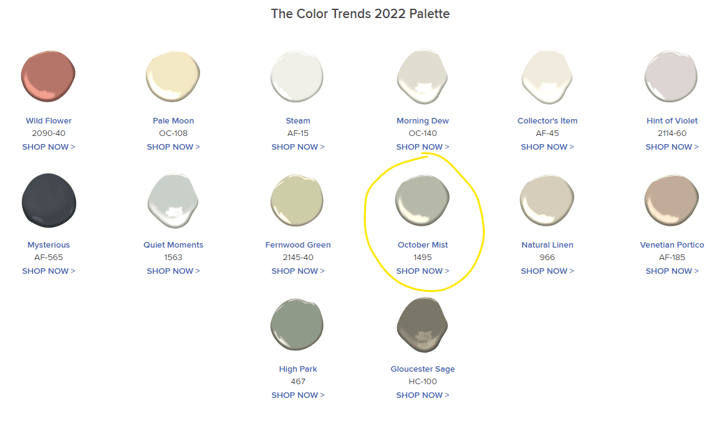 2022 Color of The Year