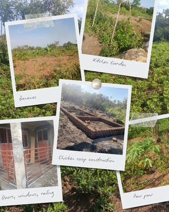 Ngombor Planting Seeds of Change, October-November Update