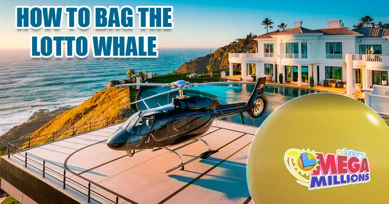 How Real Estate Agents Can Connect with Lottery Winners