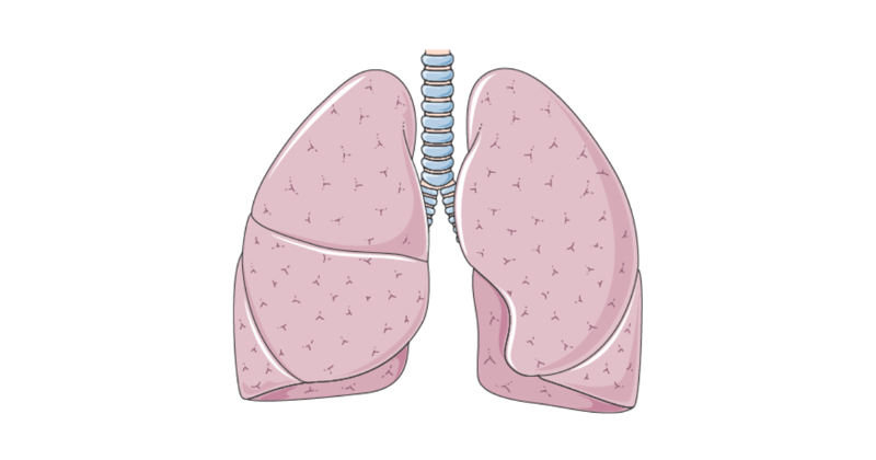 🩺 #32 - Persistent Cough, Night Sweats and Haemoptysis