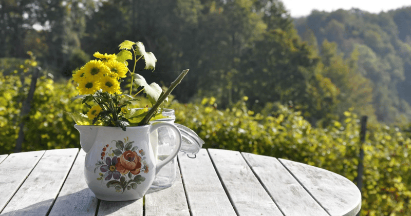 Summerville Weekly: June 3rd
