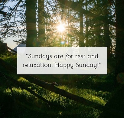 Day 4: See the joy, your Vision & Vitality Reset