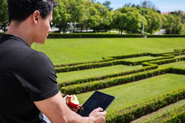 Gut Health & Productivity for Entrepreneurs