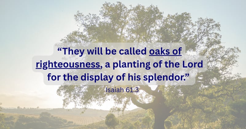 Oaks of Righteousness