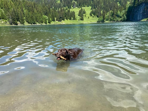 NATURE : How your connection with it matters. 