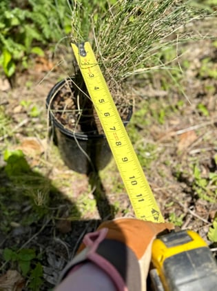 The Secret to a Picture-Perfect Garden? You Won't Believe This Tool!