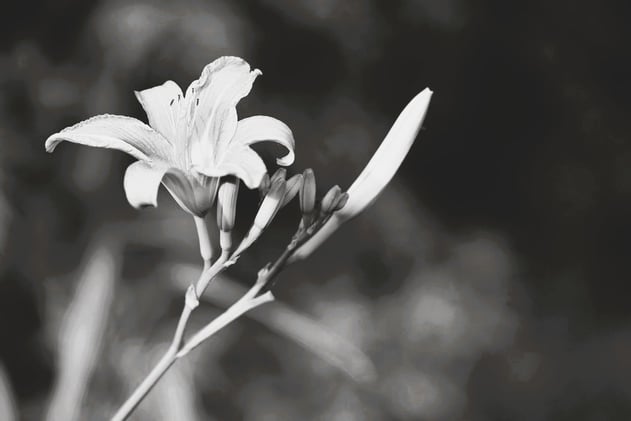 The Long Road Back Together