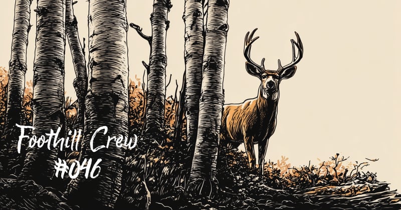 Golden, Seen up Close