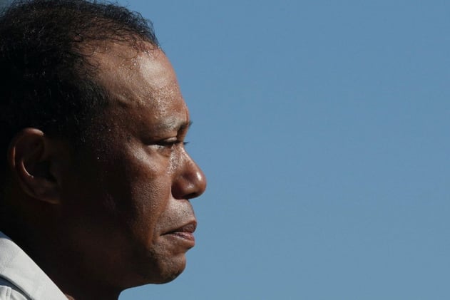 Tiger's Arrest Affidavit Made Public - LITE