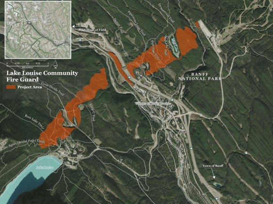 Lake Louise Pushes Ahead With Next Phase of Wildfire Fuel Break