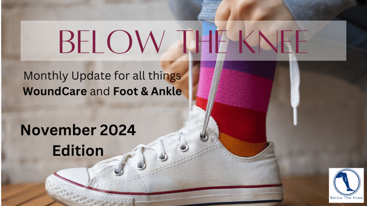 Below The Knee - November 2024 Edition