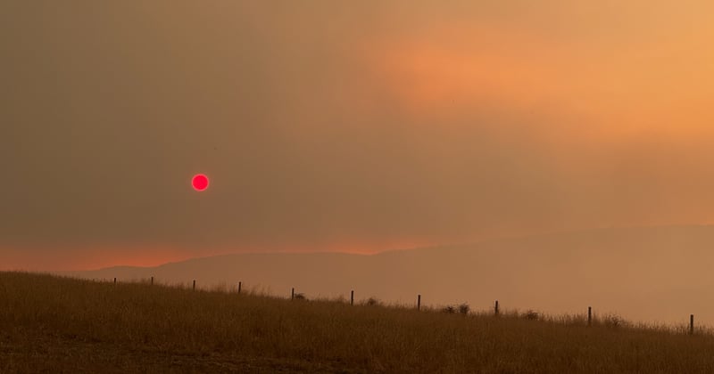 “The heat we're experiencing now is not business as usual”: GP’s warning as mercury hits 48.9C in Victoria