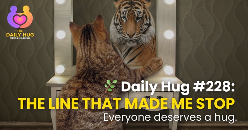 🌿 Daily Hug #228: The Line That Made Me Stop