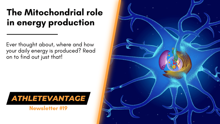 Where does our energy come from?