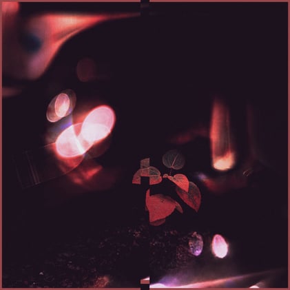 Arbee's Newsletter 7