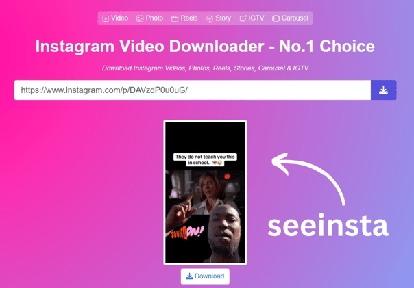 Instagram Video and Reel Downloader | seeinsta.com