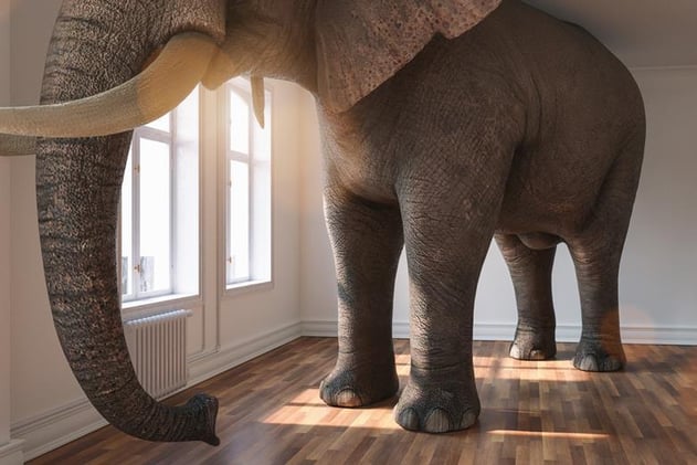 🐘Let's Talk about March Madness and the Elephant in the Room🐘