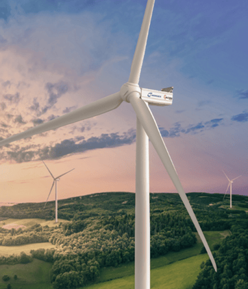 Renewable Insights  - 50th Edition 