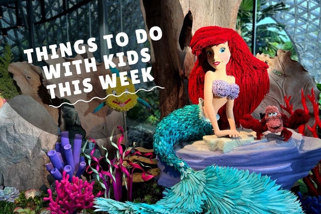 Weekly things to do 2-8 Dec