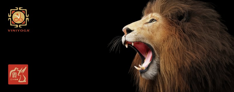 Do Not Return to the Lion’s Cave!