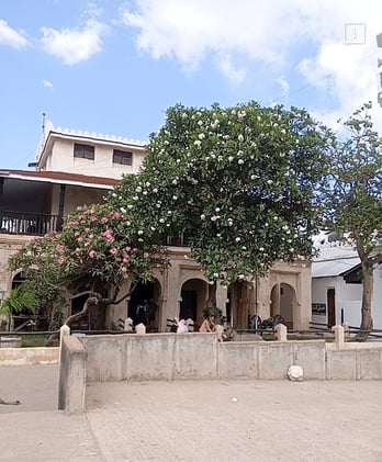 Wahenga walisema... Utarudi tu!