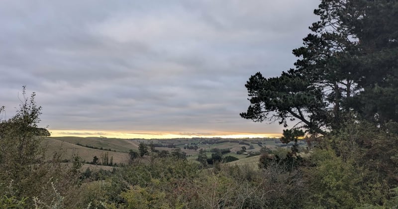 🔭 Local man finds 100 planets