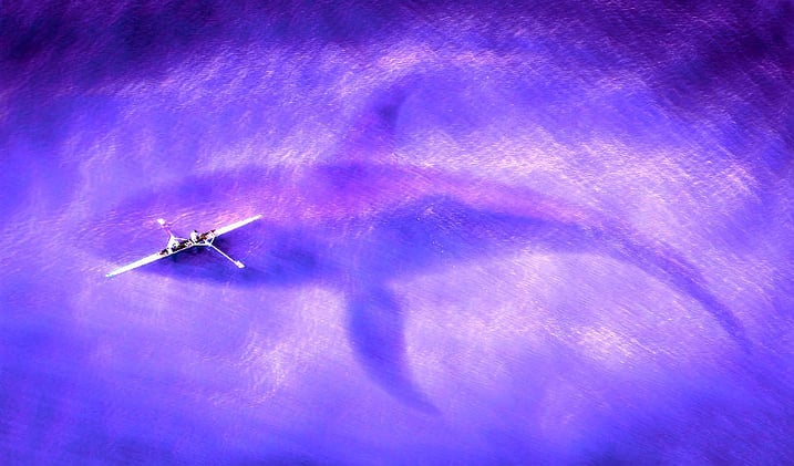 Record-Breaking Bitcoin Whales, Plus Ripple and XRP, Ethereum, Tron, Litecoin, NEO, Bitcoin Cash, Zcash: Crypto News Alert
