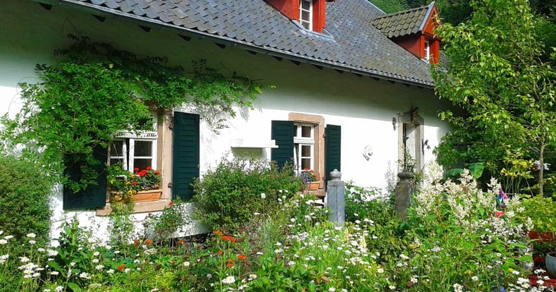 Non-Toxic Dad News: March 26, 2026