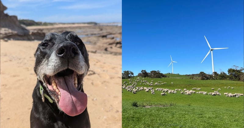 Newsletter: Bad info, good Quigley