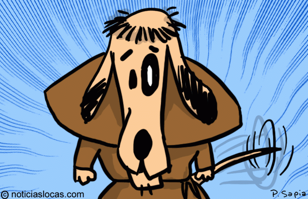De perro callejero a monje franciscano