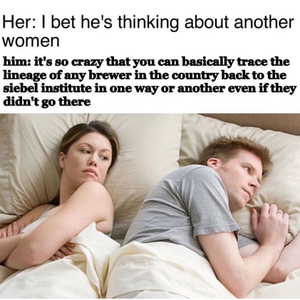 Trump take America’s brewing future