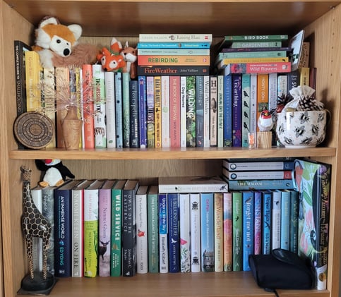 Shelfies #56: E.J. Swift