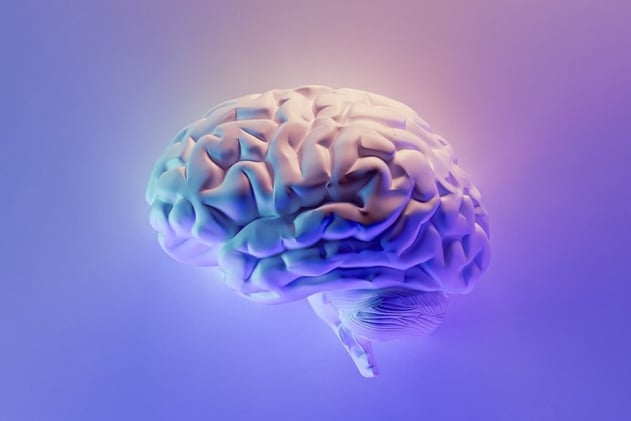 Volume #13: How to Personalize Your Productivity