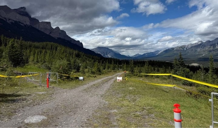 🐻 The Truth About Wildlife Rules