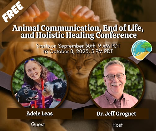 Free Animal Communication, End of Life and Holistic Healing Conference 