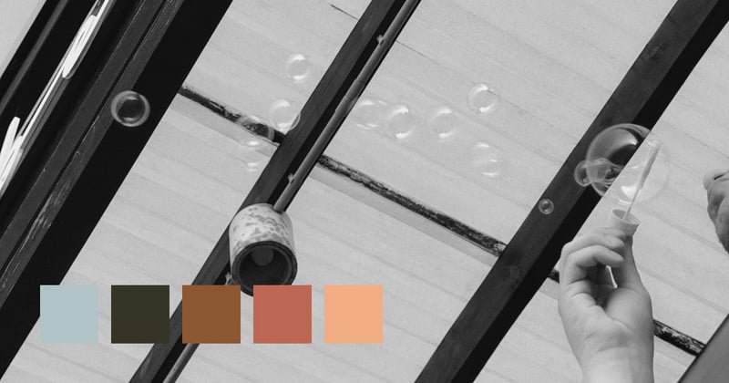 Beneath The Glass Canopy