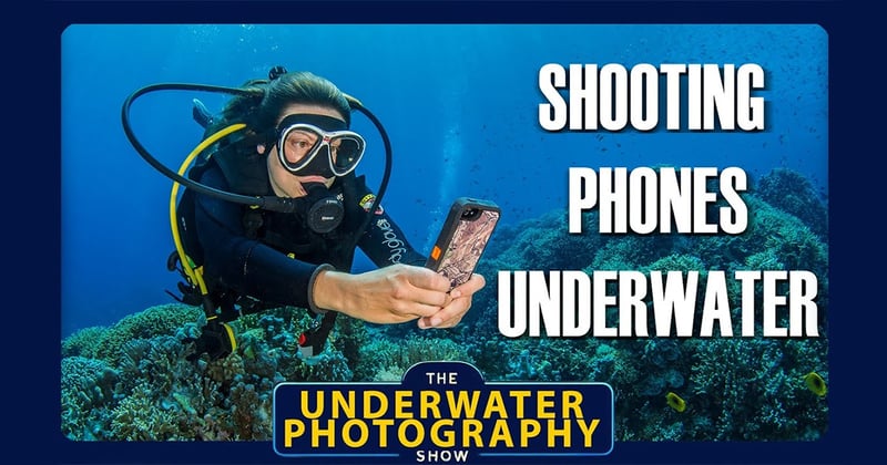 Phones Underwater: The New Frontier in Underwater Photography