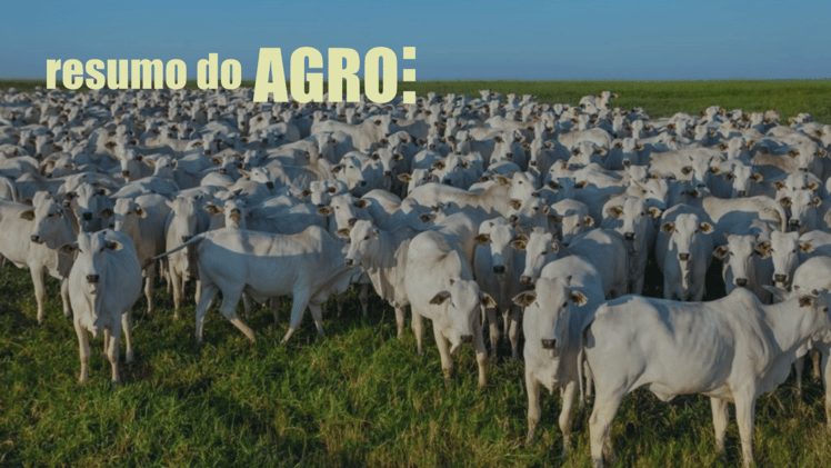 Resumo do Agro #002