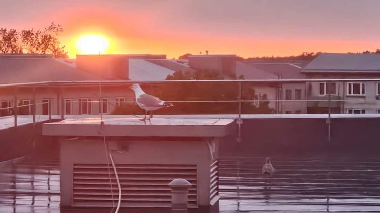 The Trouble with Tranquility