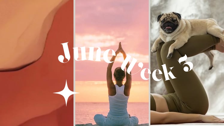  🧘‍♀️ International Yoga Day and more