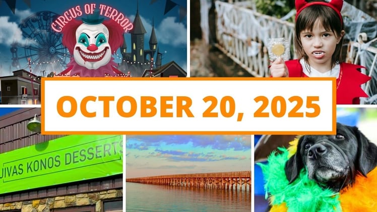 Spooky fun, a new business opens & more!