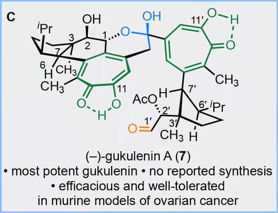 From Sea Sponge to Lab Bench