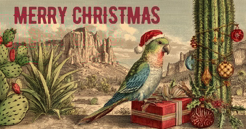 Merry Christmas 🎄