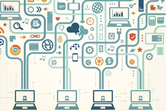 Information Technology - Networking and Connectivity