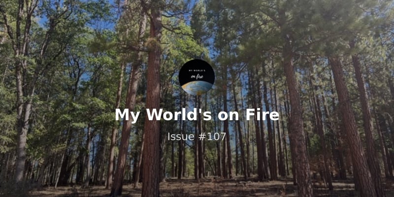 Beyond the burn